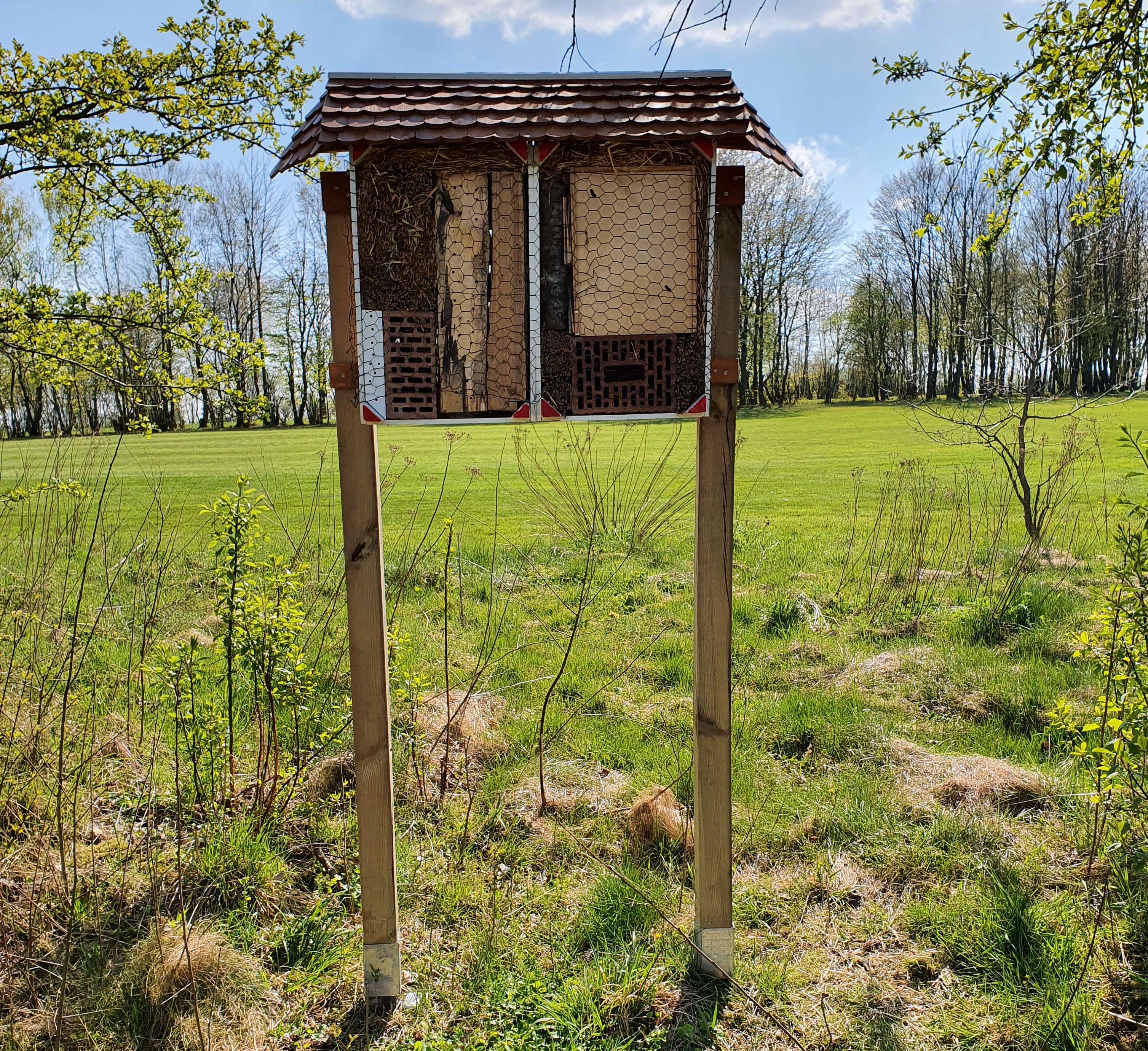 Insekten fühlen sich auf dem Platz des GC Herford wohl.