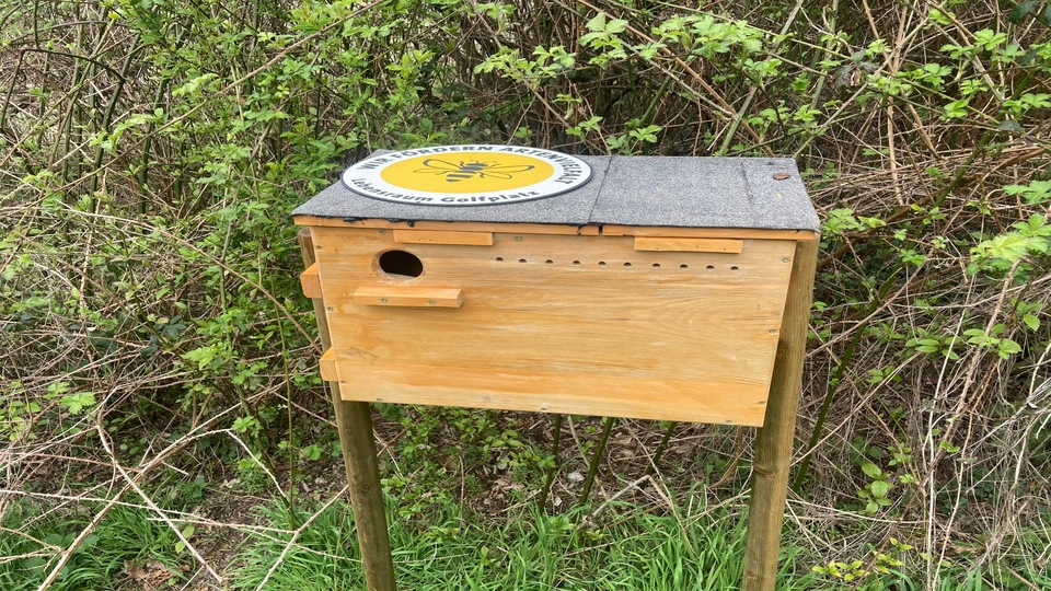 Der Wiedehopf findet auf dem Platz des GC Darmstadt Traisa beste Bedingungen zum Brüten vor.