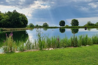 Teich 3 Golfclub Obere Alp.