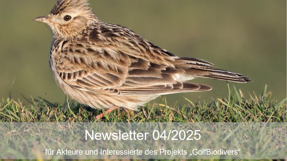 GolfBiodivers Newsletter 4/2025