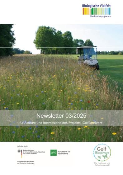 Newsletter 3/2025 Anlage Biodiversitätsflächen
