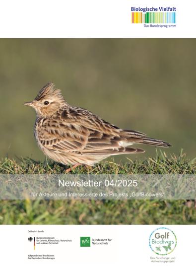 Newsletter 4/2025 Zwischen Vogelstimmen und Blühflächen