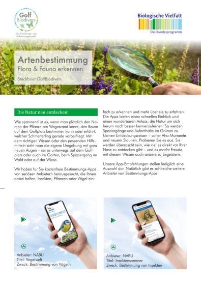 GolfBiodivers Flyer Artenbestimmung