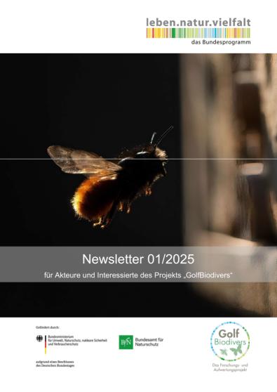 Newsletter 1/2025 Wildbienen