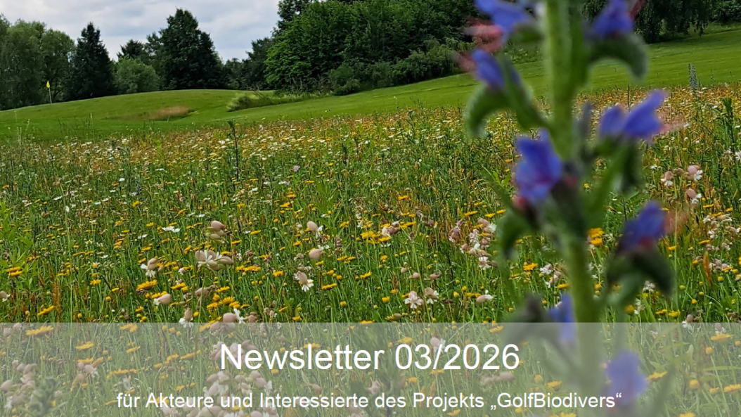 GolfBiodivers Newsletter 3/2026.