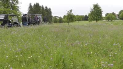 Blühwiesen auf Golfanlagen stehen im Fokus der Greenkeeperschulung in Ulm.