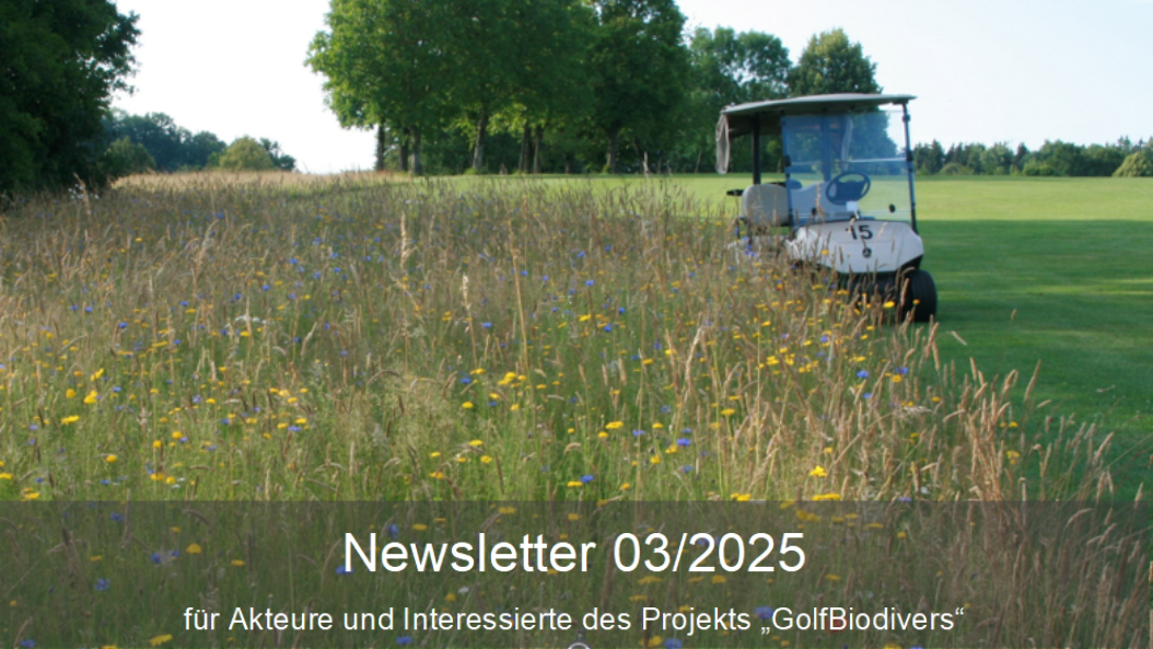 GolfBiodivers Newsletter 3/2025