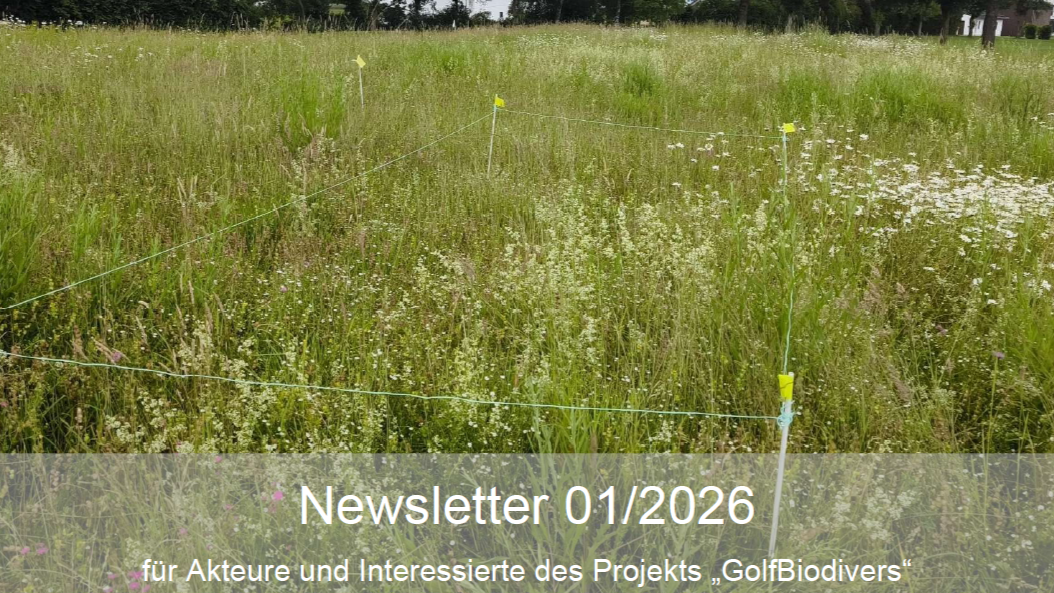 GolfBiodivers Newsletter 1/2026 Vegetationsaufnahmen